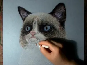 Mogorva Cat