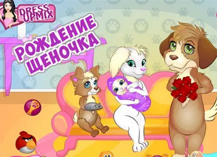 Játék Kórház kutyáknak