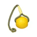 Online Shop fordogtrainers