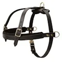 Online Shop fordogtrainers
