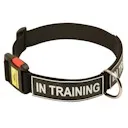 Online Shop fordogtrainers