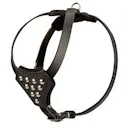 Online Shop fordogtrainers