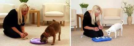 Interaktív játékok kutyáknak nina ottosson - online kisállat bolt, Mr. Woof (interaktív játékok kutyáknak) Interaktív játékok kutyáknak nina ottosson - online kisállat bolt Mr. wow