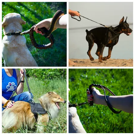 Online Shop fordogtrainers