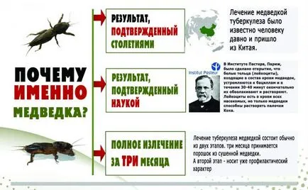 A tuberkulózis kezelésére otthon