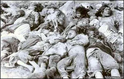 History of Örményország - Örmény népirtás (a török örmény népesség) History of Armenia - örmény népirtást