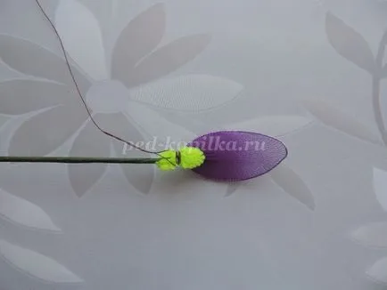 Íriszek nejlon kezük