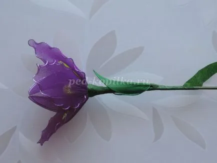 Íriszek nejlon kezük