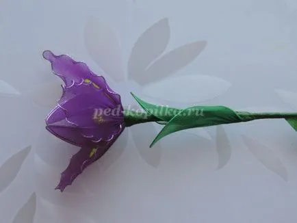 Íriszek nejlon kezük