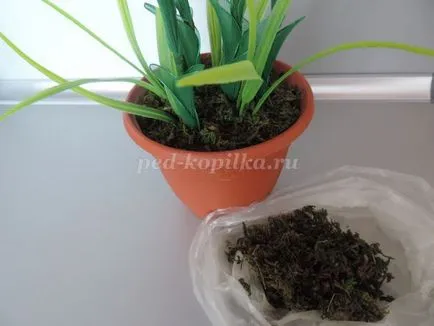 Íriszek nejlon kezük