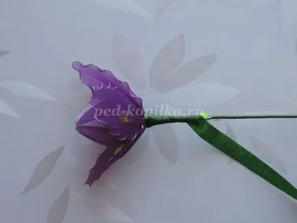 Íriszek nejlon kezük