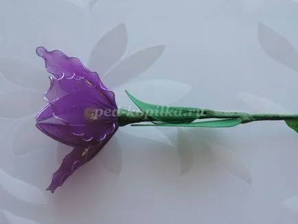 Íriszek nejlon kezük