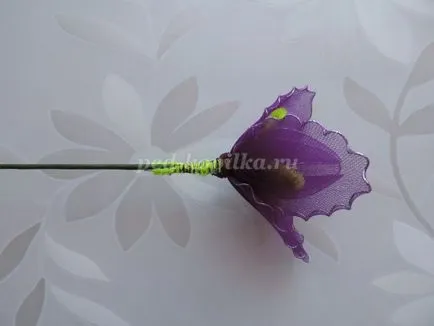 Íriszek nejlon kezük