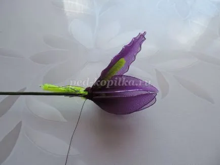 Íriszek nejlon kezük
