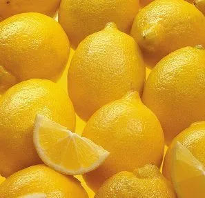 Milyen gyorsan józan alkohol otthon (alkohol) Milyen gyorsan józan alkohol otthon