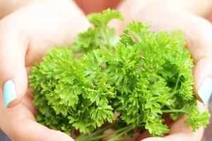 Hogyan lehet gyorsan eltávolítani a szem alatti táskák az otthoni és hogyan lehet megszabadulni maszk (táskák) Hogyan lehet gyorsan eltávolítani a szem alatti táskák az otthoni és hogyan lehet megszabadulni álcázzák
