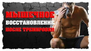 Hogyan izomra gyorsan otthon