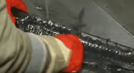 Hogyan tisztítsa meg a tokhal rendesen, és vágjuk az otthoni videó környezet