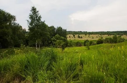 Hogyan kell kezelni a gyomok a kertben, és még harcolni a gyom saját nyaraló szükséges (a harcot) Hogyan kell kezelni a gyomok a kertben, és hogy szükséges-e a gyomok saját nyaraló