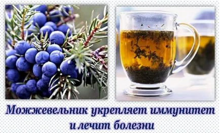 Hogyan kell használni a boróka a receptek a hagyományos orvoslás (boróka) Hogyan kell használni a boróka a receptek a hagyományos orvoslás