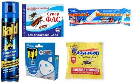 Hogyan lehet megszabadulni a legyek a lakásban, otthon, hogyan kell kezelni a legyek otthon