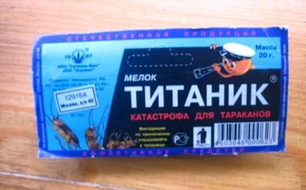 Hogyan lehet megszabadulni a csótányok örökre (csótányok) Hogyan lehet megszabadulni a csótányok örökre