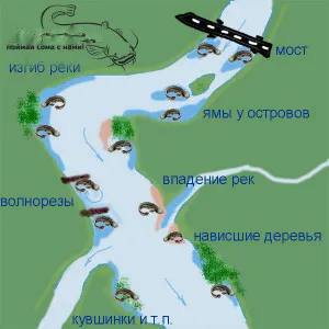 Hogyan lehet elkapni harcsa