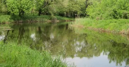 Hogyan lehet elkapni a domolykó tavasz titkok tavaszi halászat domolykó