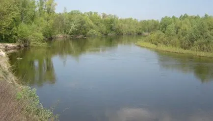 Hogyan lehet elkapni a domolykó tavasz titkok tavaszi halászat domolykó