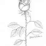 Hogyan kell felhívni a lány szakaszokban