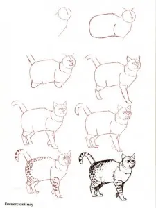 Hogyan kell felhívni a macska (cat felhívni szakaszok) Hogyan kell felhívni a macska