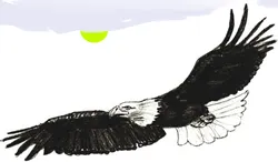 Hogyan kell felhívni Stork, gólya rajz ceruzával szakaszában (döntetlen Stork) Hogyan kell felhívni a gólya rajz gólya szakaszokban ceruza