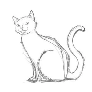 Hogyan kell felhívni a macska (cat felhívni szakaszok) Hogyan kell felhívni a macska