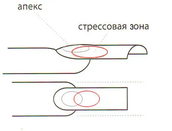 Hogyan kell felépíteni a köröm otthon gél és akril formák, körökre technológia (növekedés) Hogyan kell felépíteni a köröm otthon gél és akril formák, körökre technológia