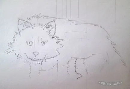 Hogyan kell felhívni a macska egy ceruzával szakaszokban (cat) Hogyan kell felhívni a macska ceruzával szakaszokban