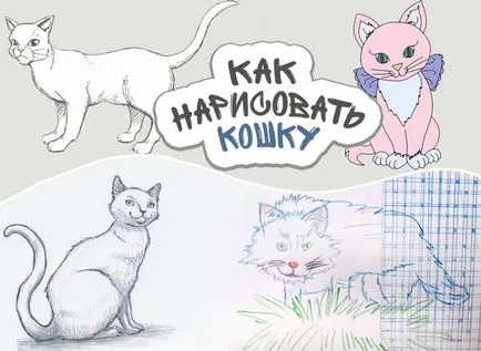 Hogyan kell felhívni a ceruzát macska szakaszában (színezés) Hogyan kell felhívni a macska ceruzával szakaszokban
