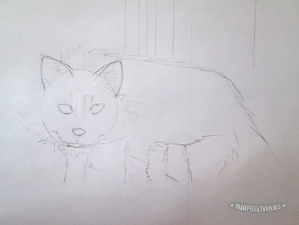 Hogyan kell felhívni a macska ceruza szakaszában (például egy ceruza felhívni a macska) Hogyan kell felhívni a macska ceruzával szakaszokban