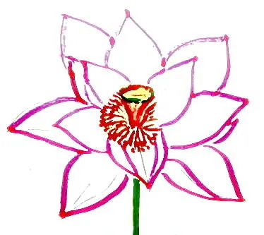 Hogyan kell felhívni a Lotus