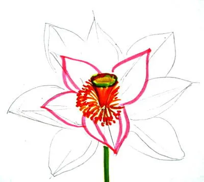 Hogyan kell felhívni a Lotus