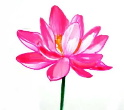 Hogyan kell felhívni a Lotus