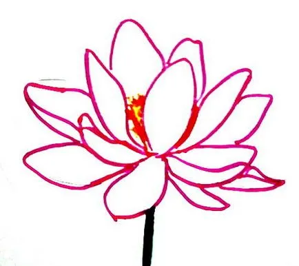 Hogyan kell felhívni a Lotus