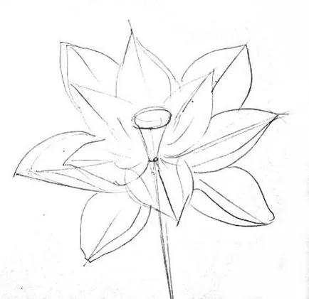 Hogyan kell felhívni a Lotus