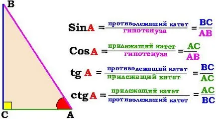 Hogyan lehet megtalálni a szinusz a szög a háromszög