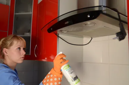 Hogyan tisztítsa és mossa le a fedelet (grill, szűrő, rács) felett a tűzhely zsír - népi