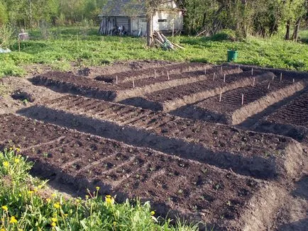 Mi a teendő a kertben tavasszal