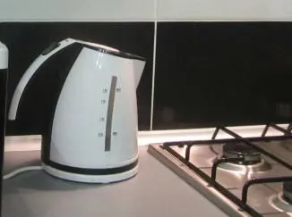 Melyik tea jobb választani elektromos lemezek a sípot