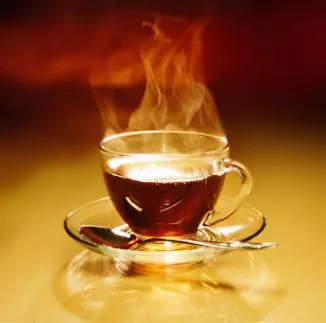 Melyik tea jobb választani elektromos lemezek a sípot