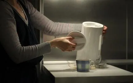Melyik tea jobb választani elektromos lemezek a sípot