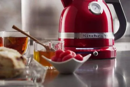 Melyik tea jobb választani elektromos lemezek a sípot