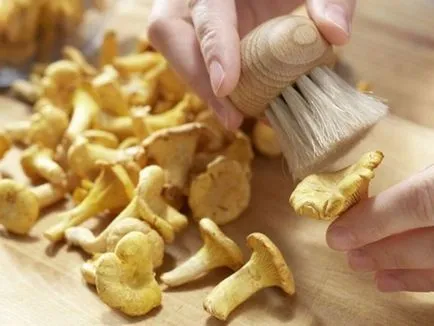 Főzni chanterelles egy serpenyőben, amelyek nem voltak gumi, és nem keserű - receptek Tejfölös,